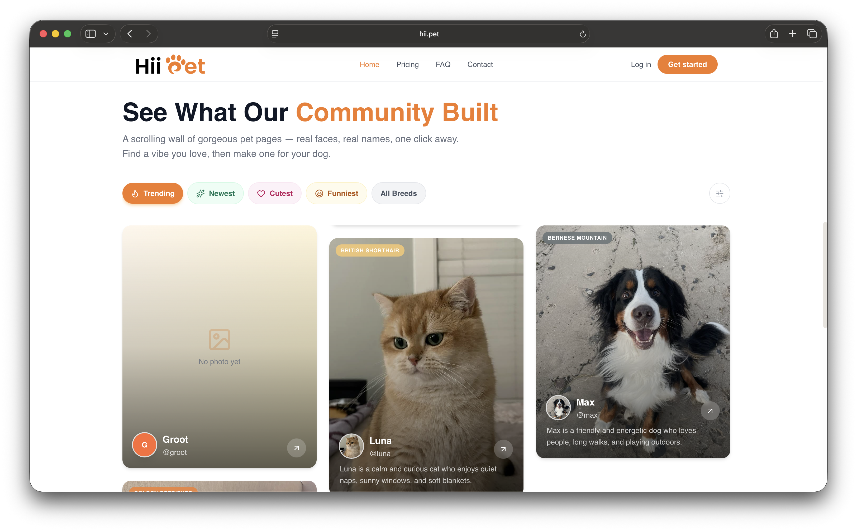 Hii Pet screenshot 3