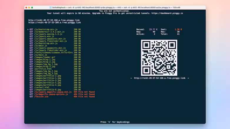 Pinggy screenshot 4